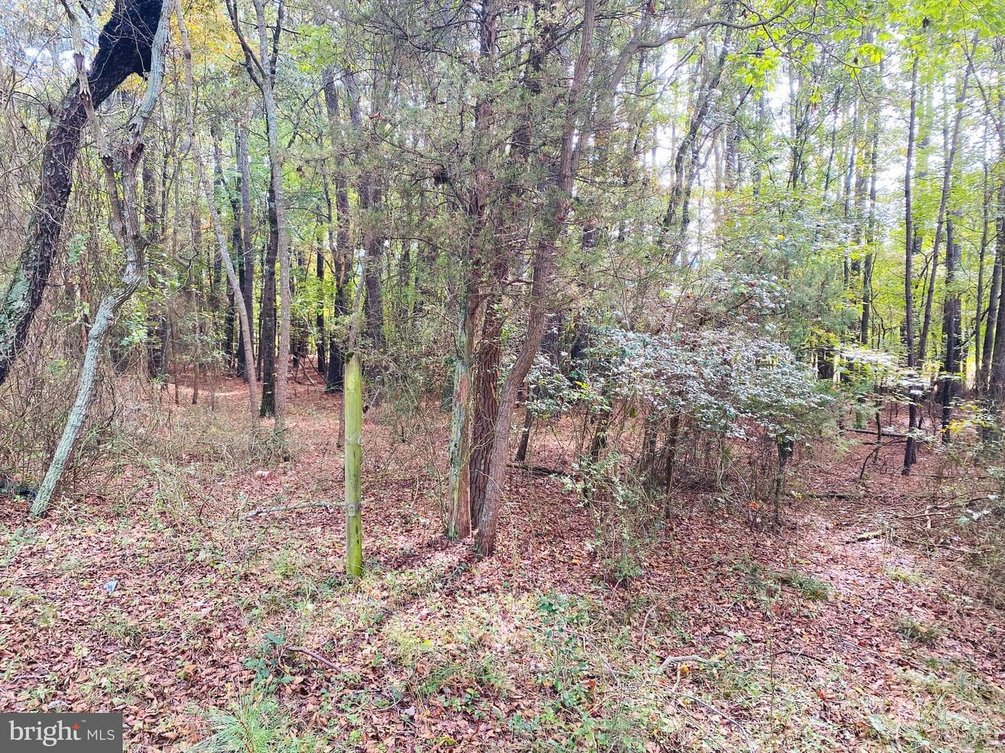 8923 Star Road photo 24
