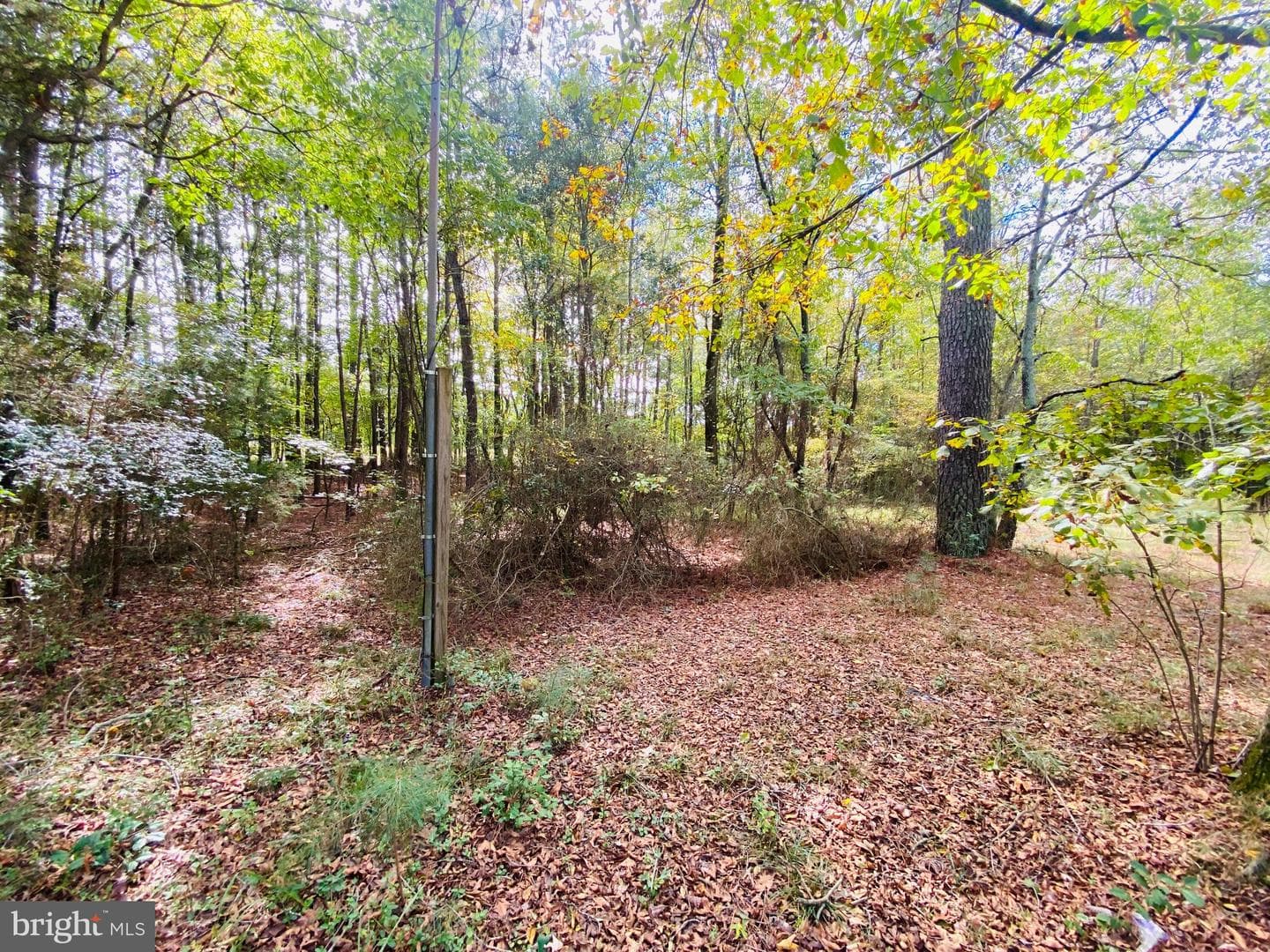 8923 Star Road photo 25
