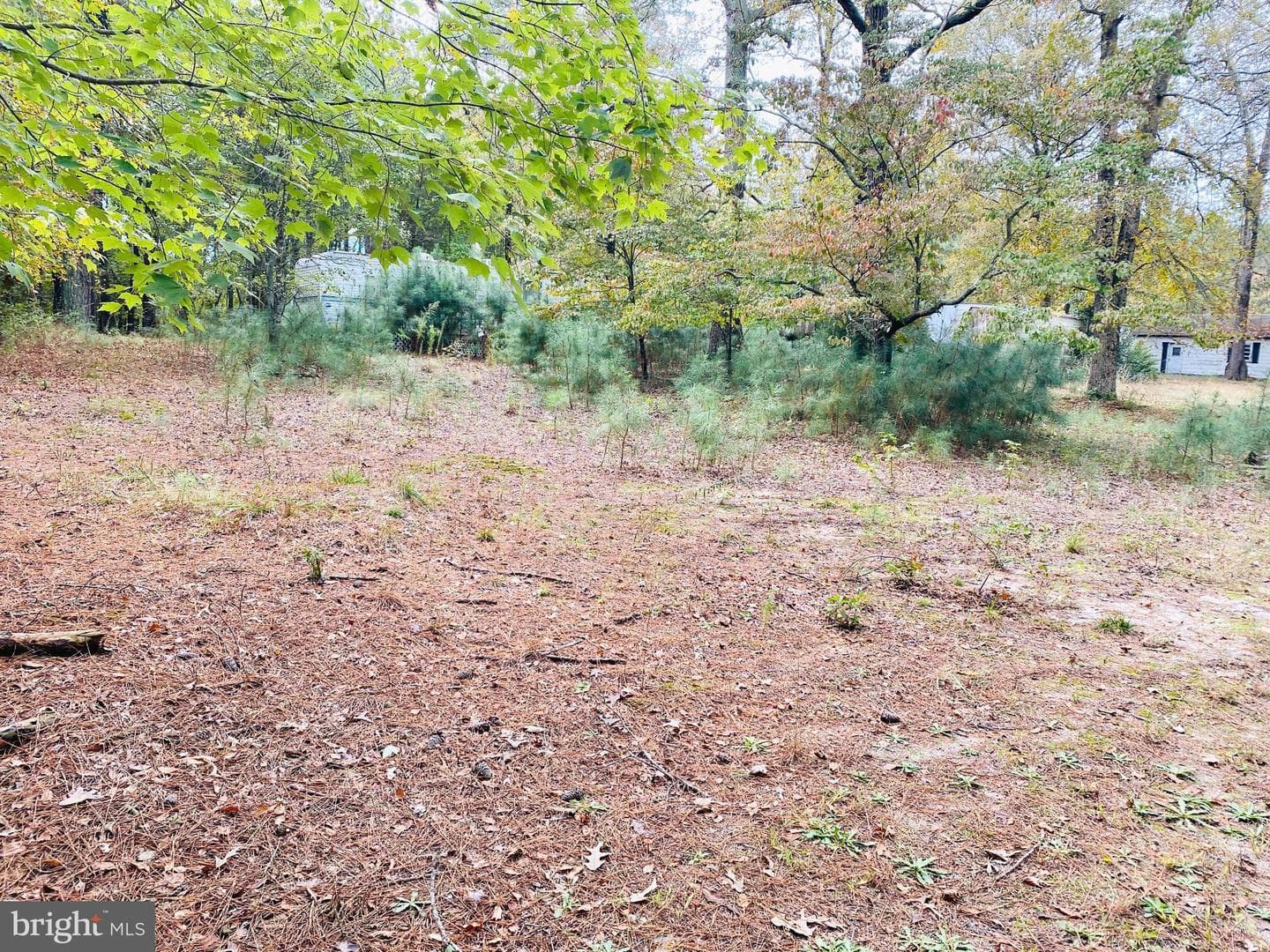 8923 Star Road photo 28
