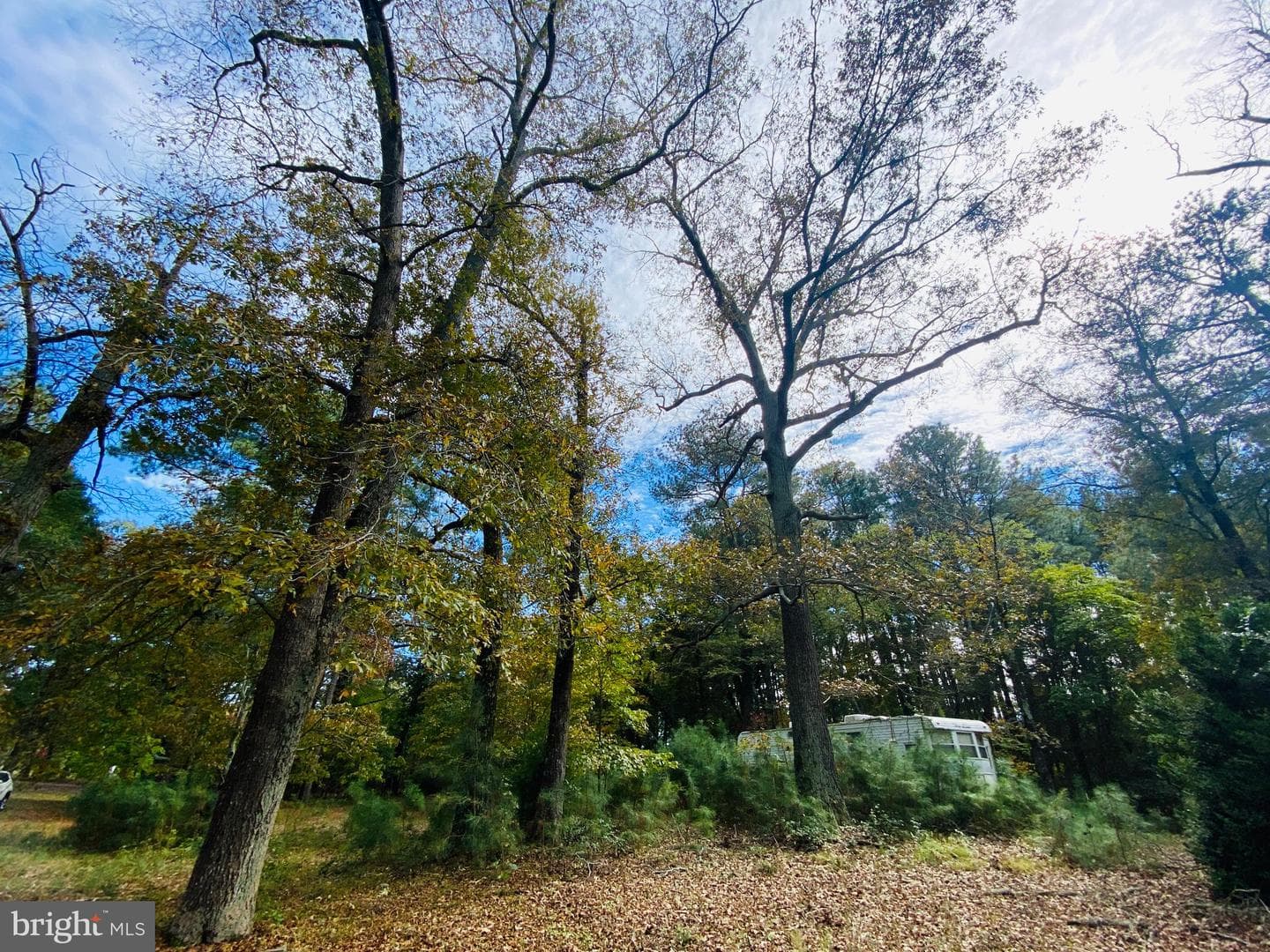 8923 Star Road photo 29
