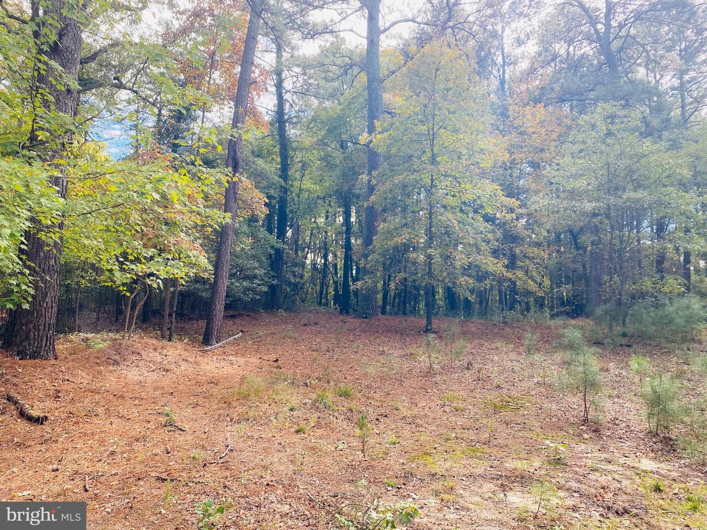 8923 Star Road photo 33