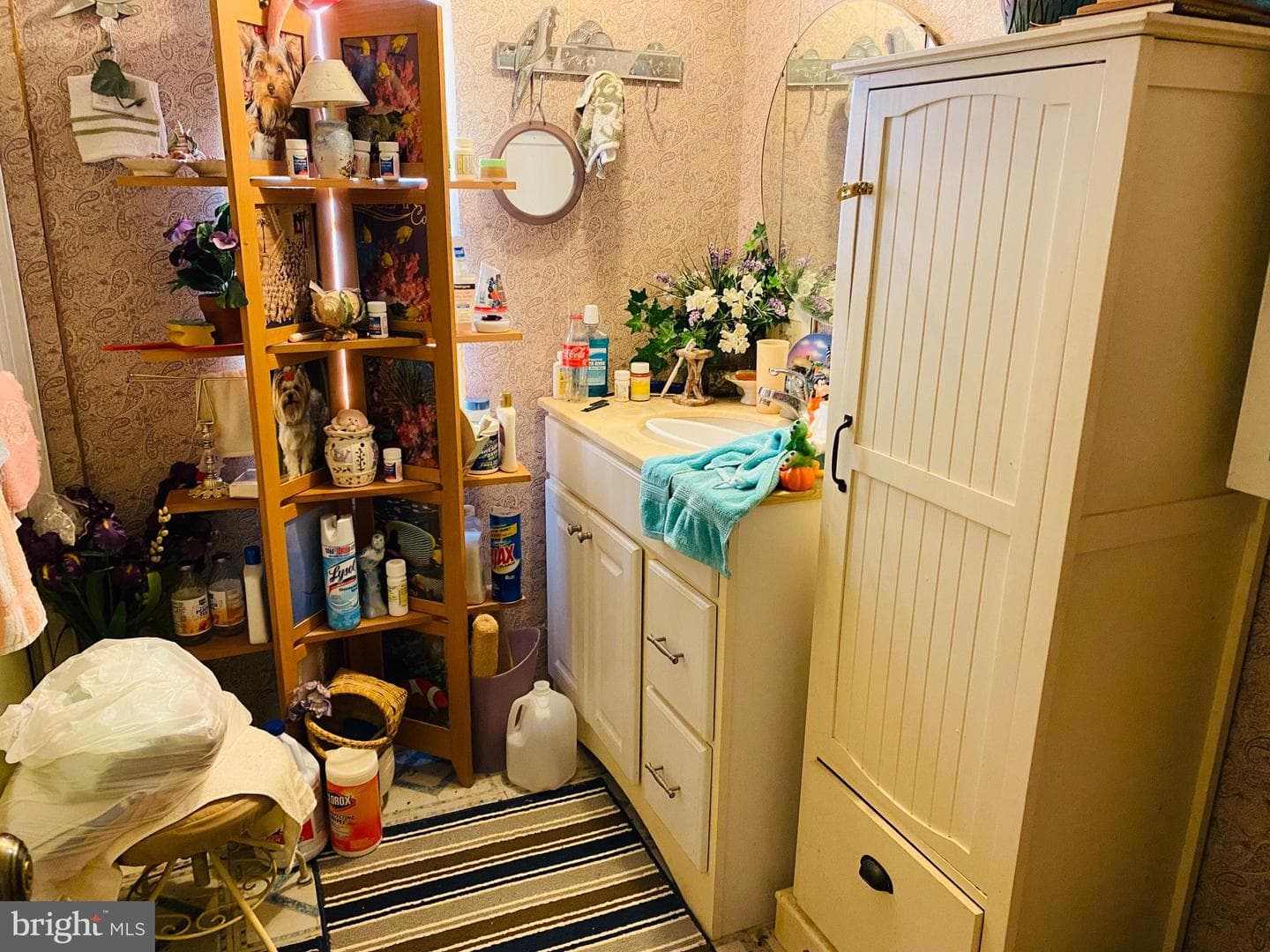 8923 Star Road photo 4