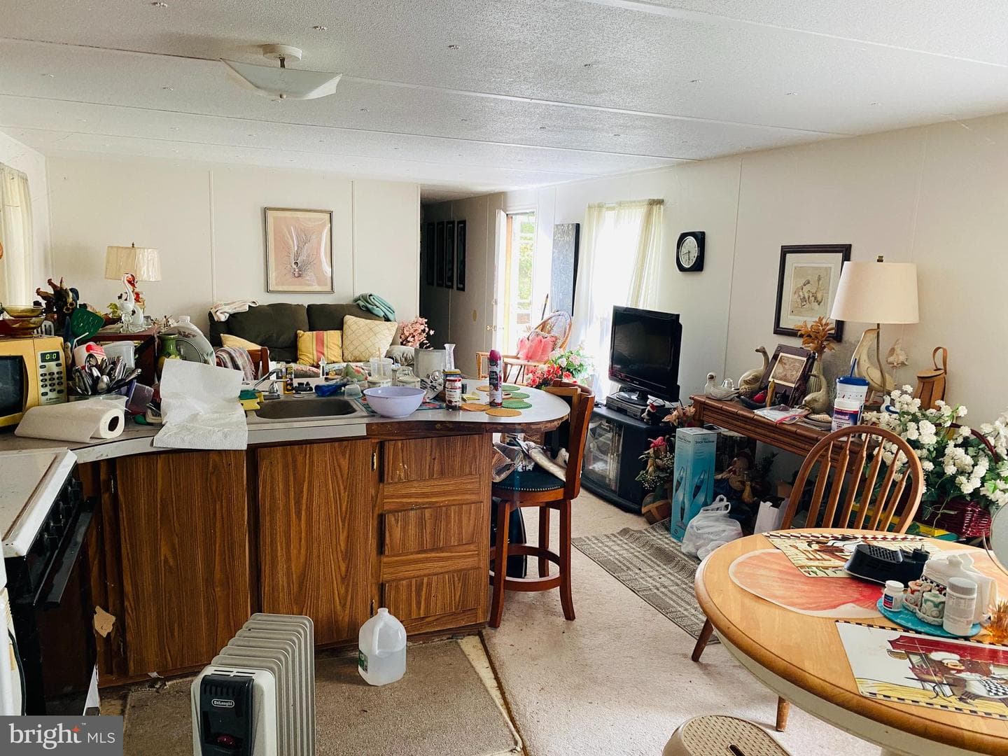 8923 Star Road photo 7