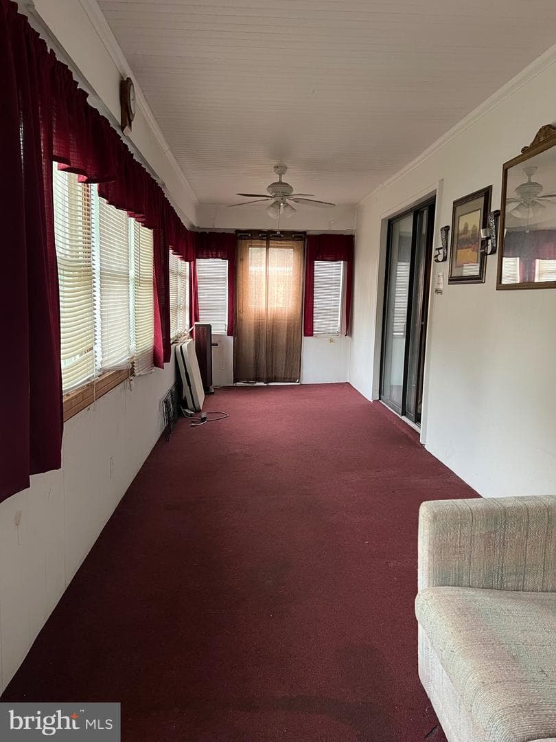 322 Naylor Street photo 4