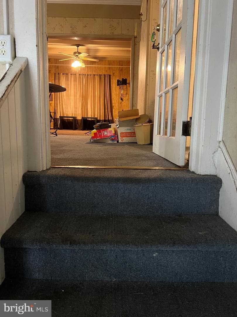 322 Naylor Street photo 5
