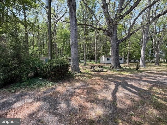 28955 Log Cabin Road photo 36