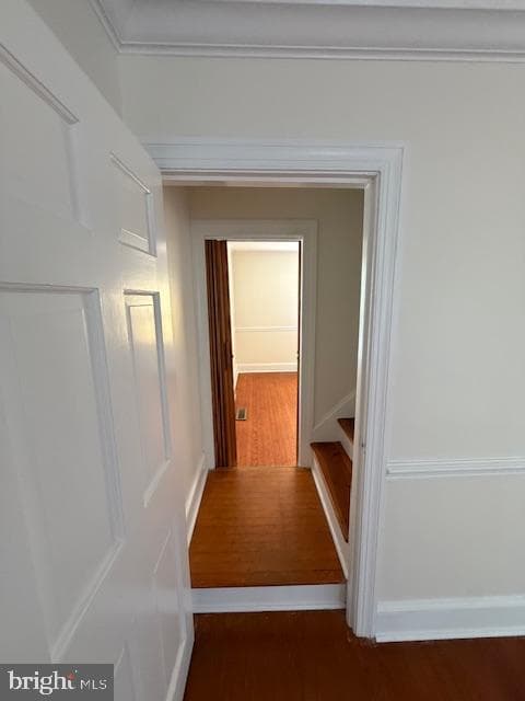 28955 Log Cabin Road photo 8