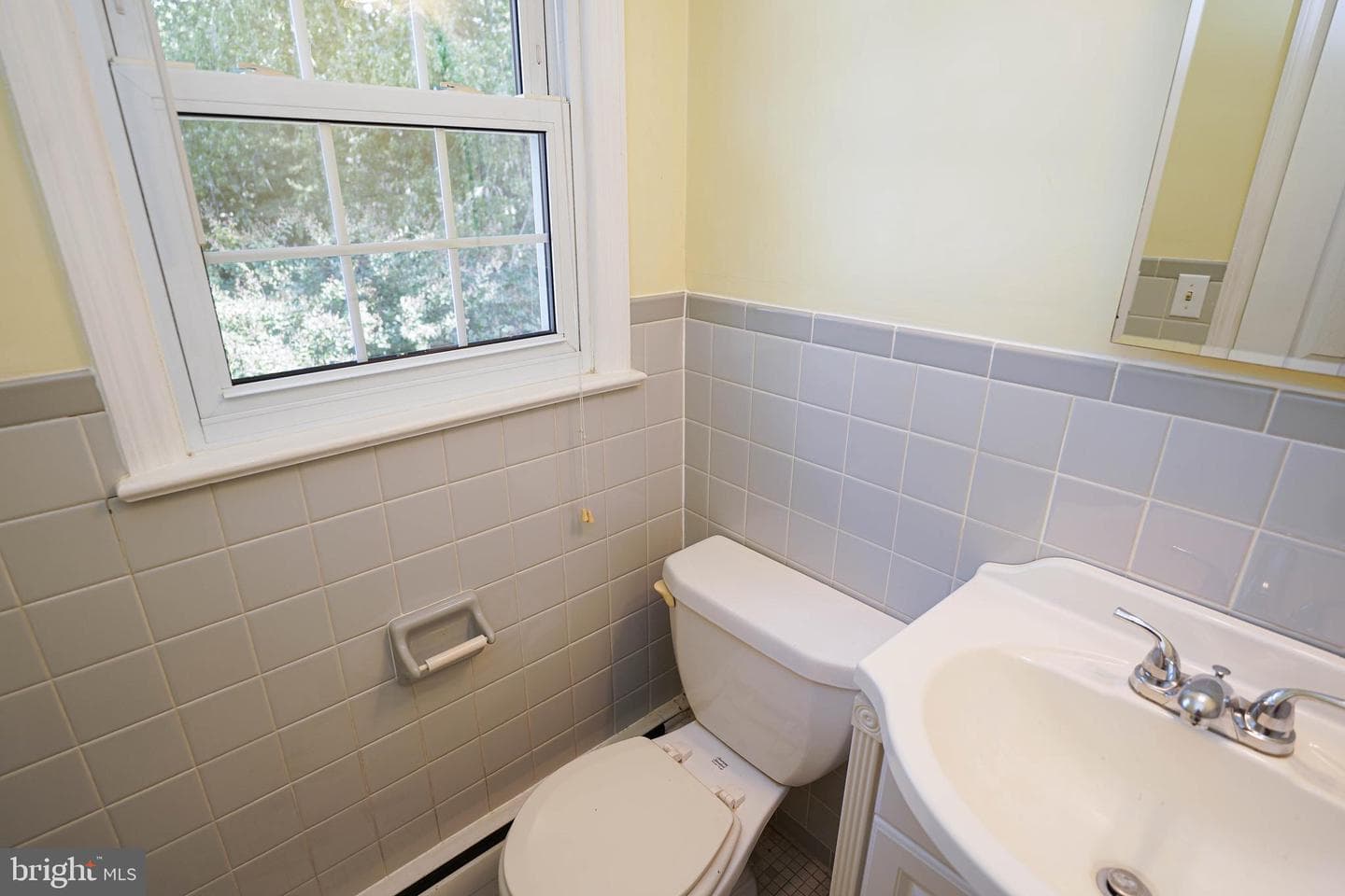 707 Camellia Road photo 37