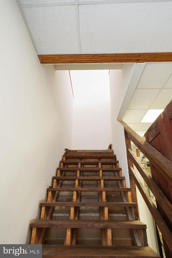 707 Camellia Road photo 53