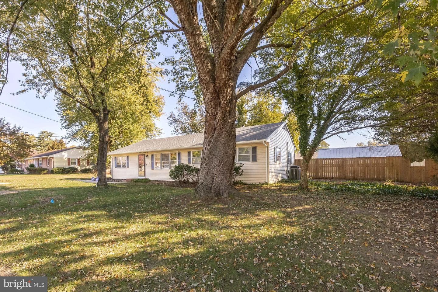 113 Montleau Avenue photo 52