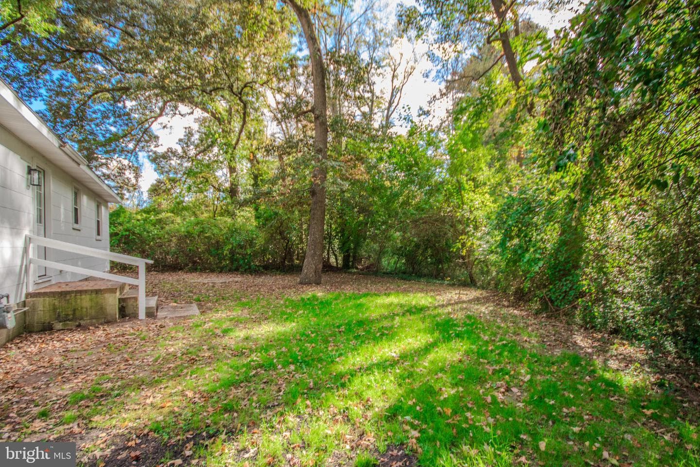 316 Autumn Terrace photo 24