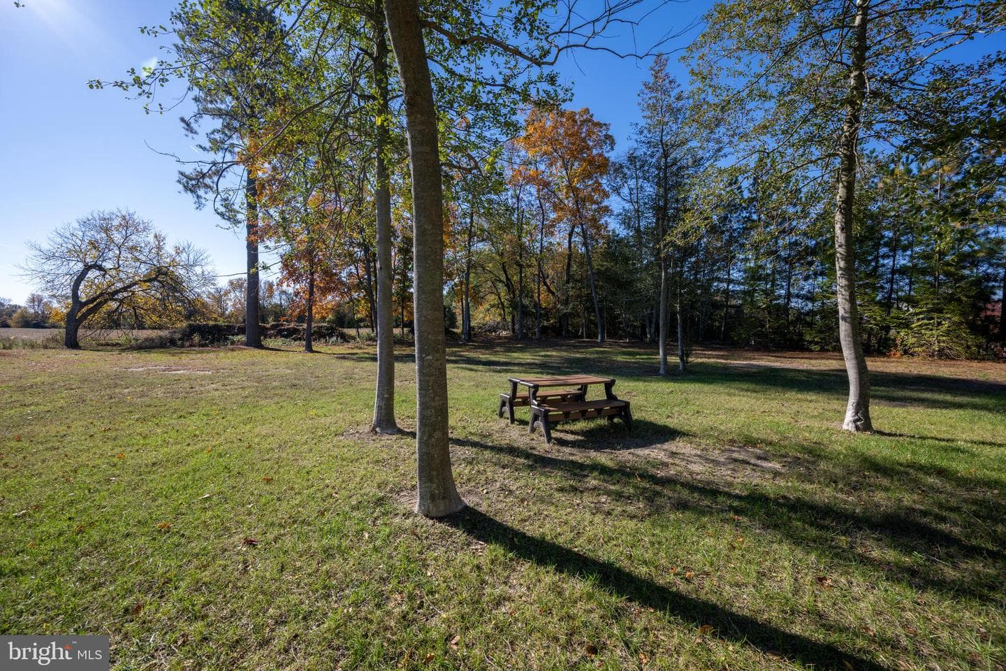 930 Johnson Road photo 21