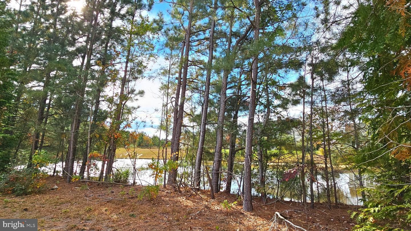 930 Johnson Road photo 61