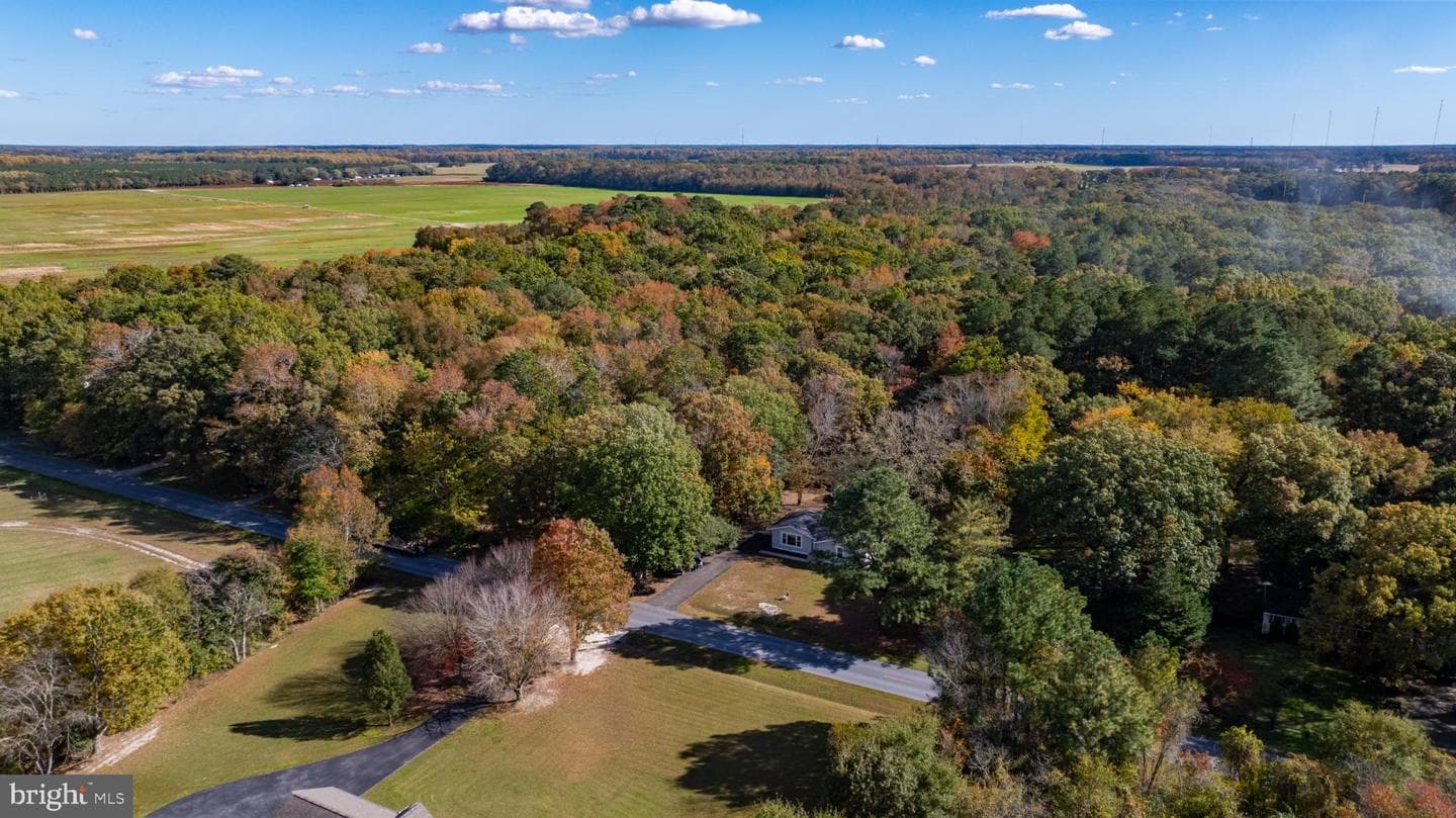 28425 Adkins Road photo 17