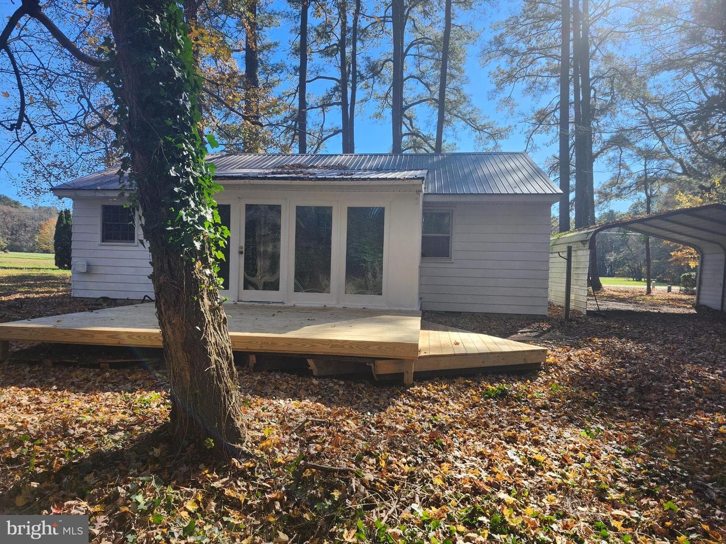 31528 Zion Road photo 25