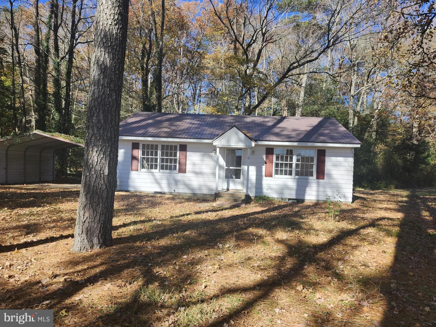 31528 Zion Road photo 29