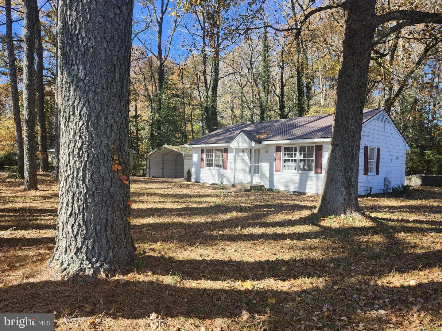 31528 Zion Road photo 31