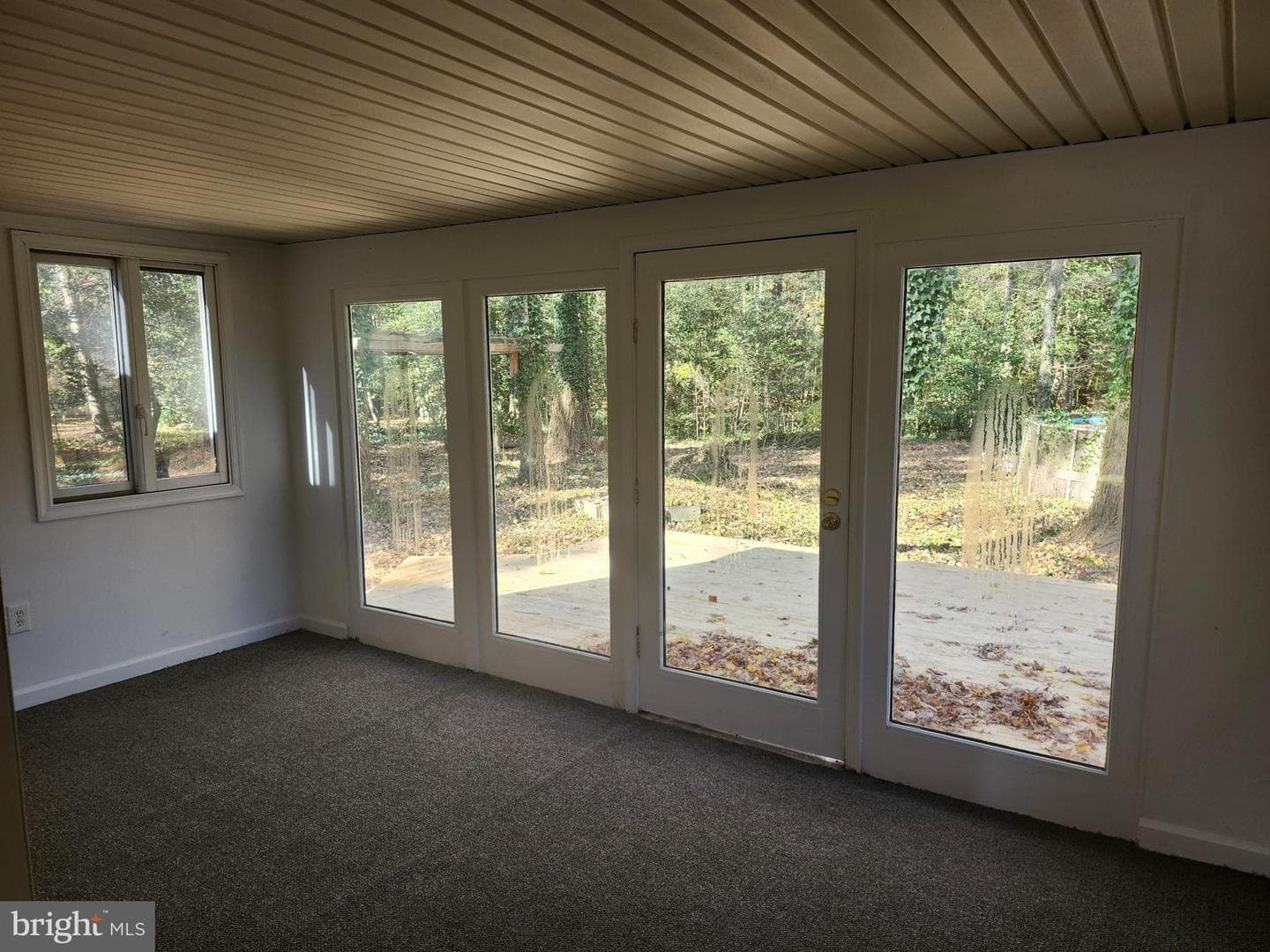 31528 Zion Road photo 8