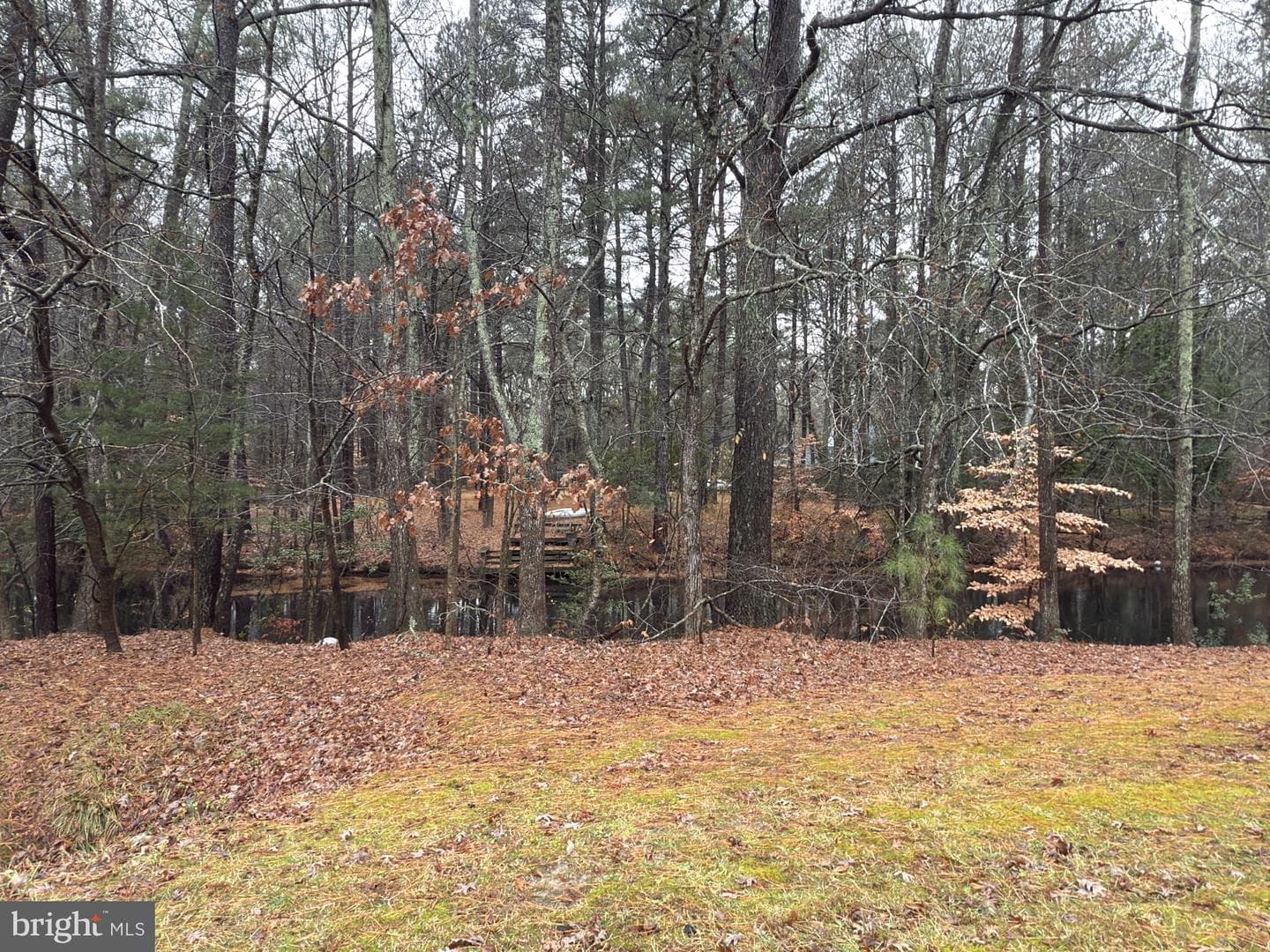 4011 Grosse Point Drive photo 2