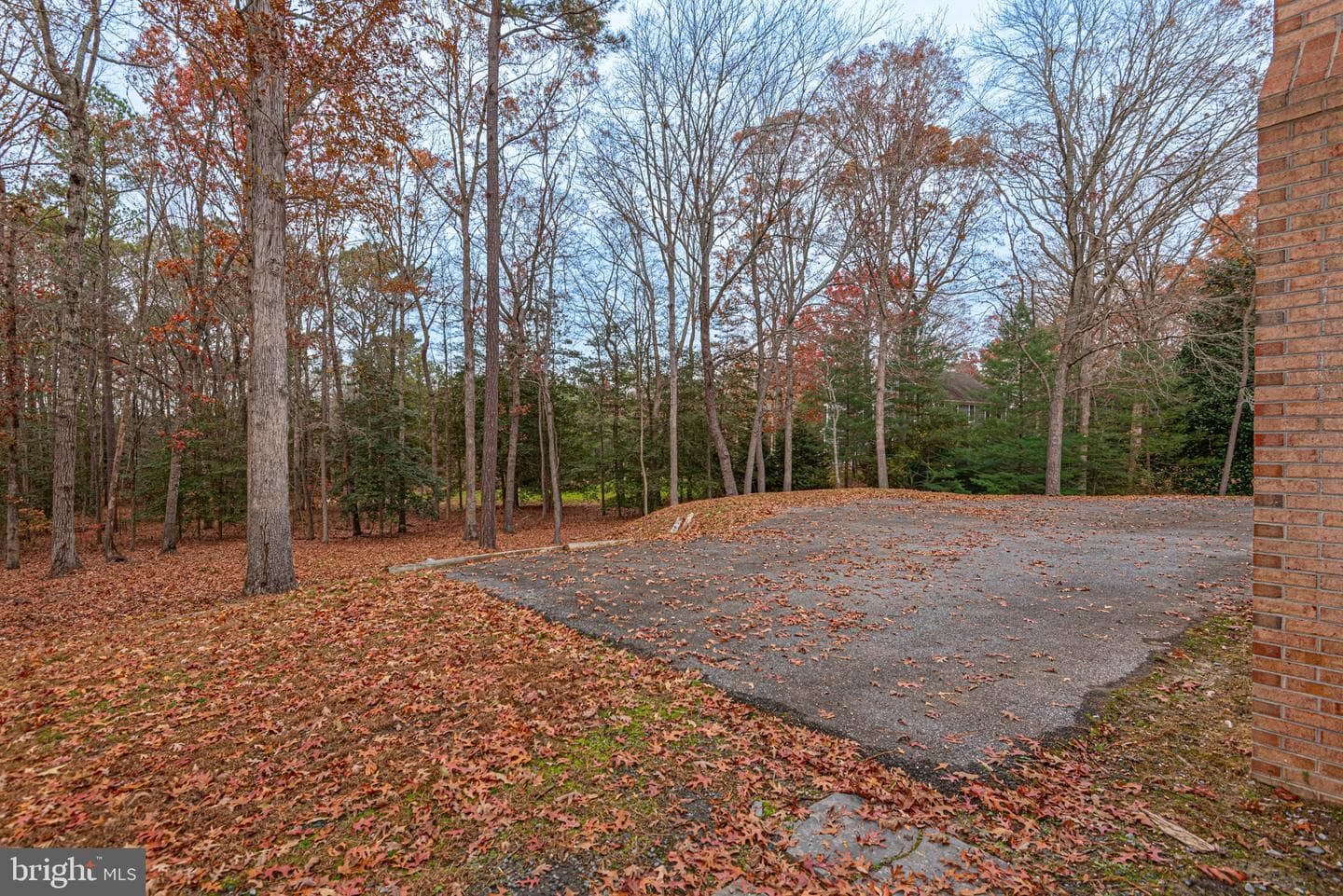 30563 Paddington Court photo 106