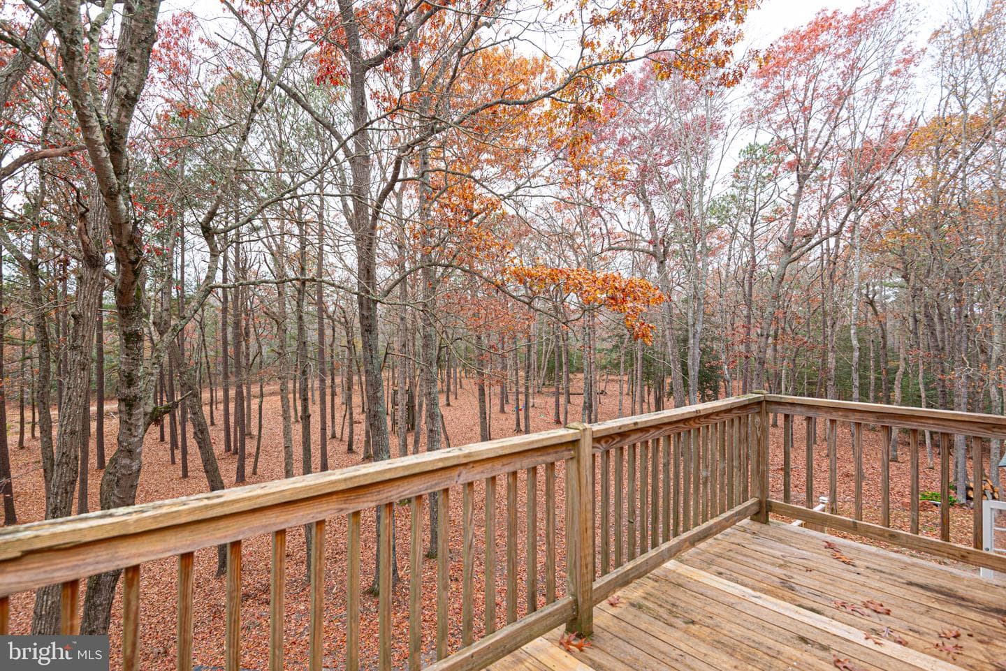 30563 Paddington Court photo 59