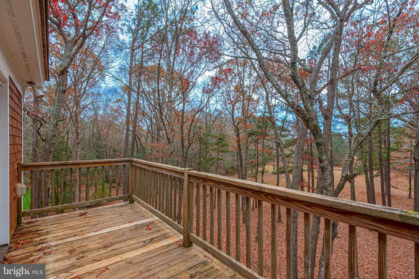 30563 Paddington Court photo 63