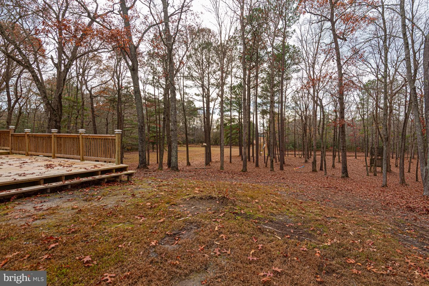30563 Paddington Court photo 97