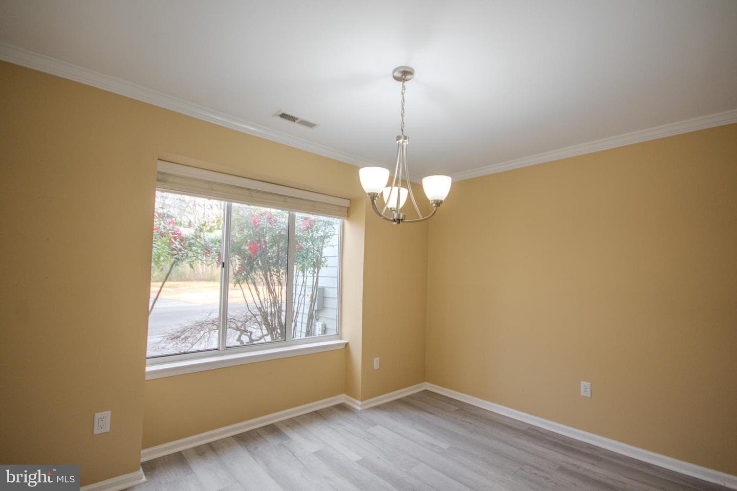 917 James Court photo 8