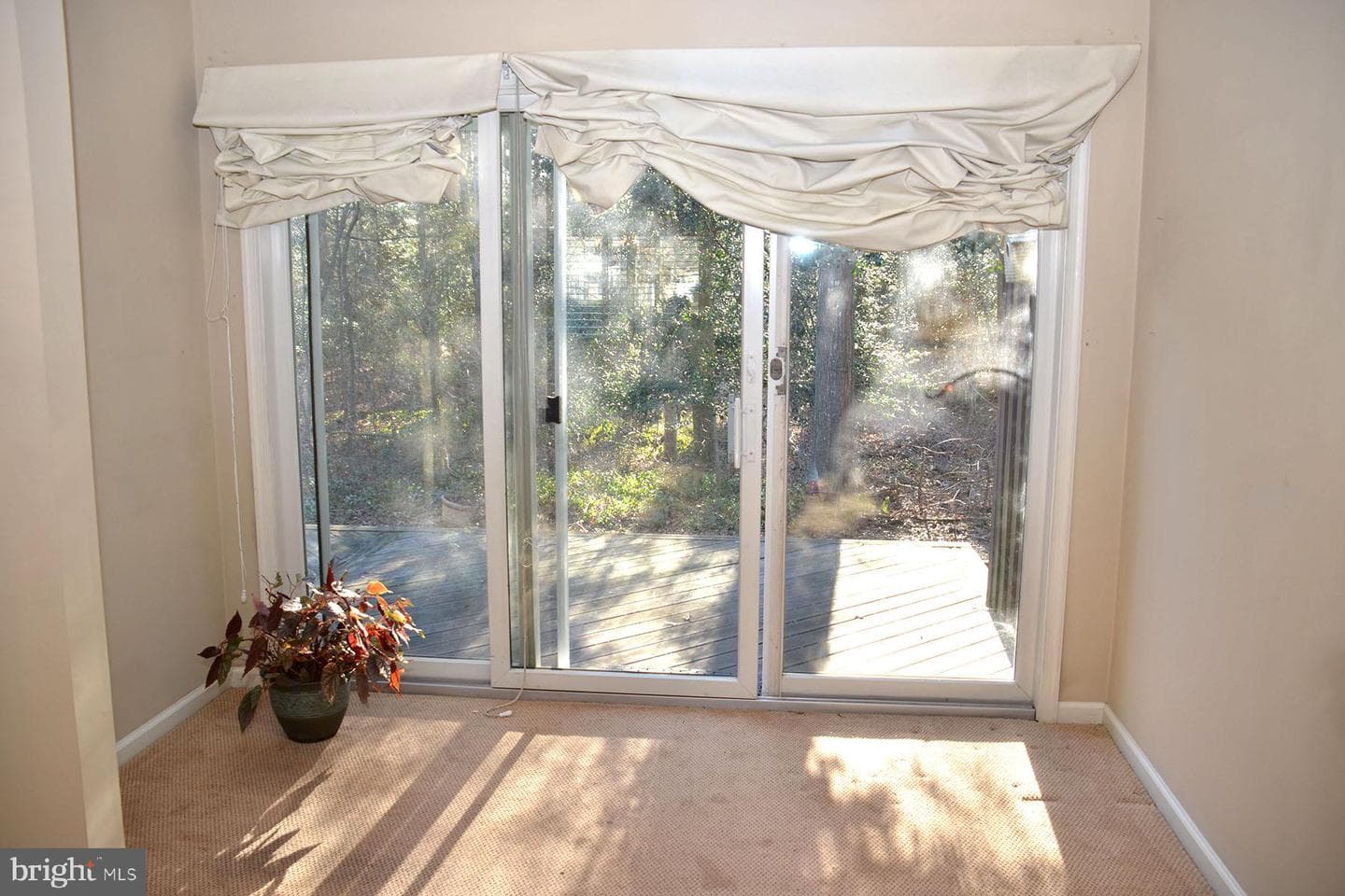 1026 Heron Court photo 8