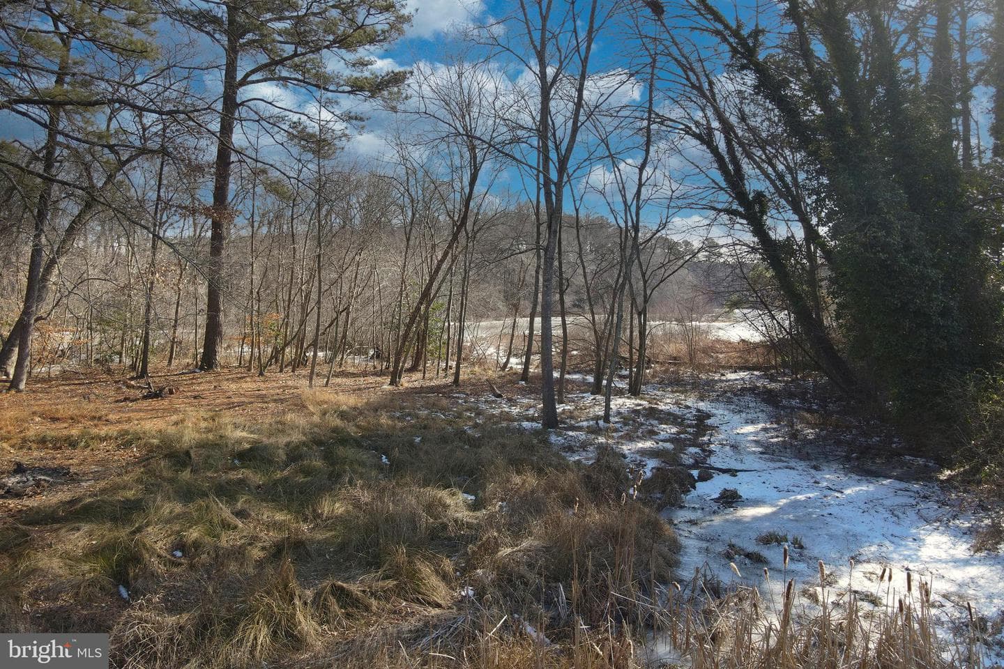 3421 Allen Road photo 11