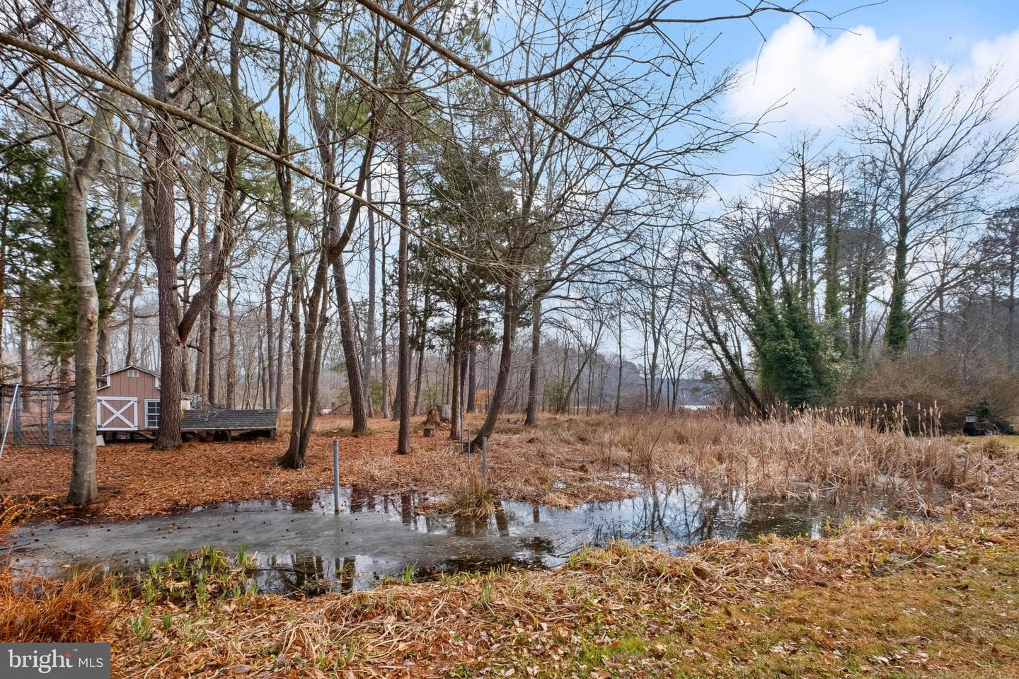 3421 Allen Road photo 56