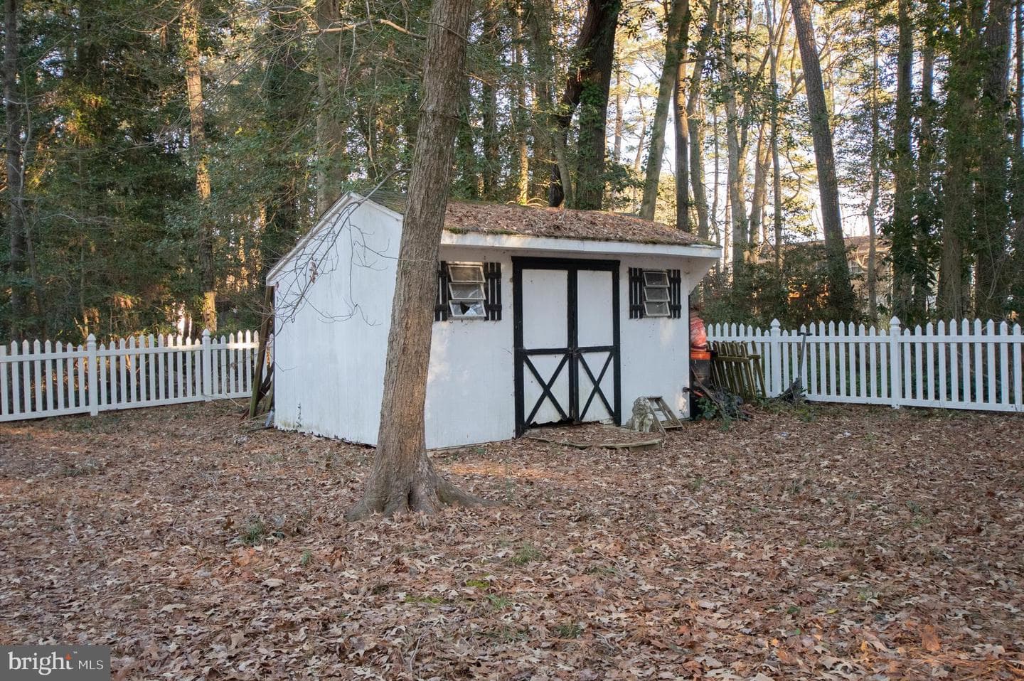 113 Tall Timber Lane photo 22