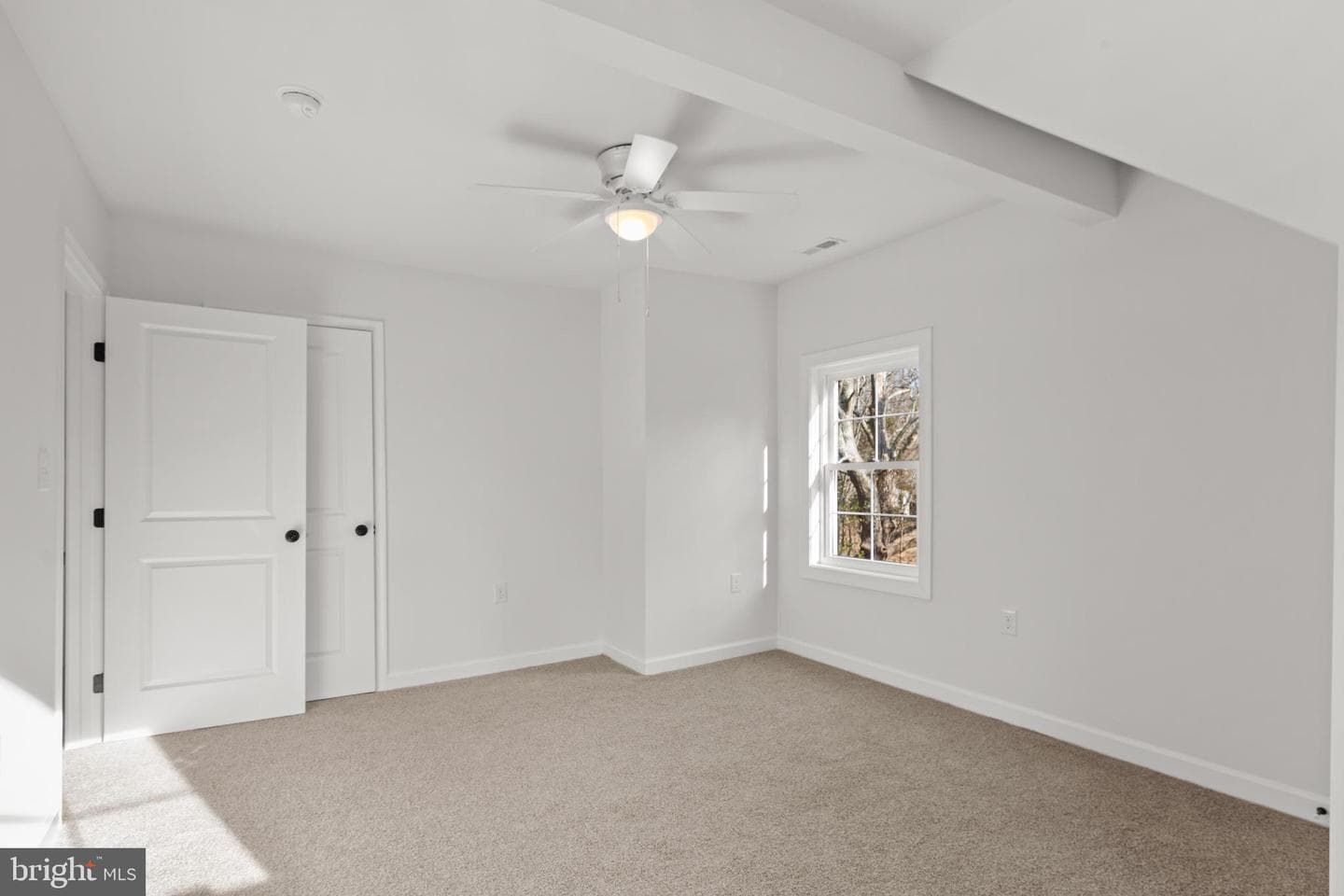 22202 Wetipquin Road photo 20