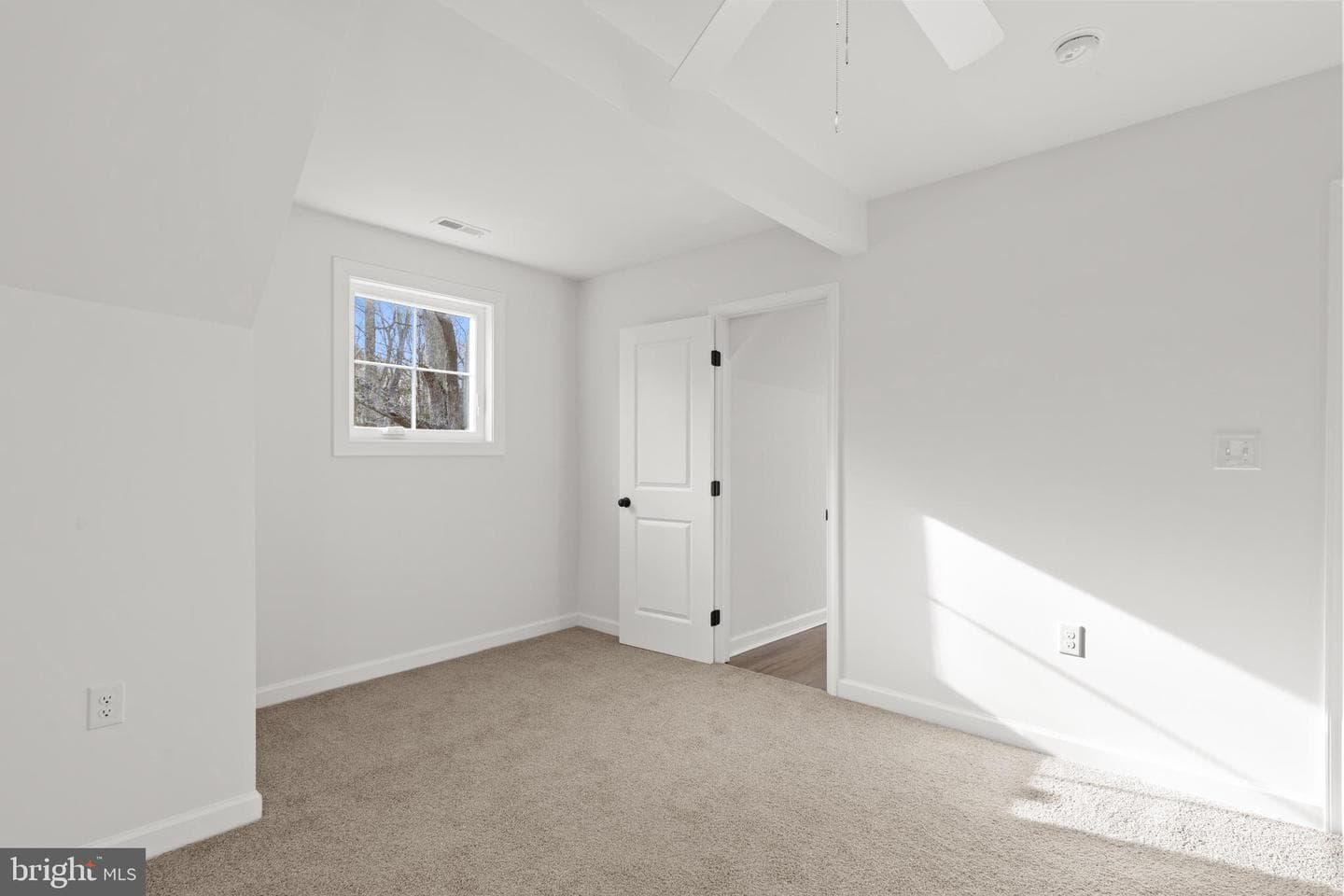 22202 Wetipquin Road photo 9