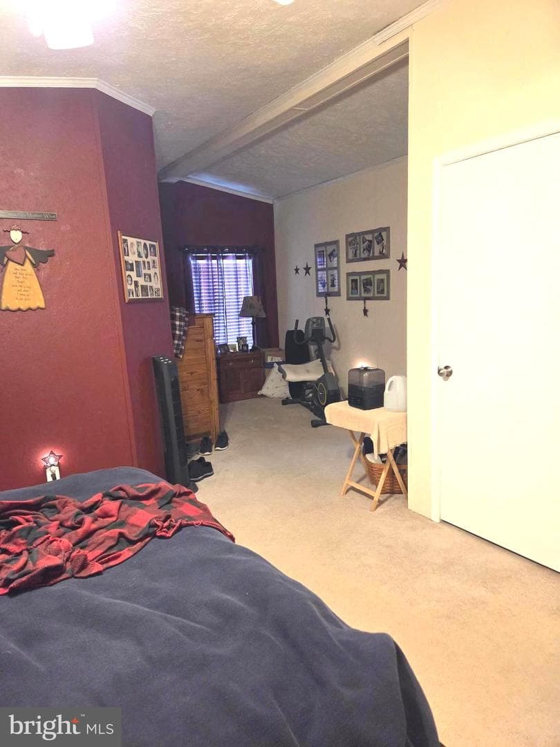 26837 Osprey Circle photo 33