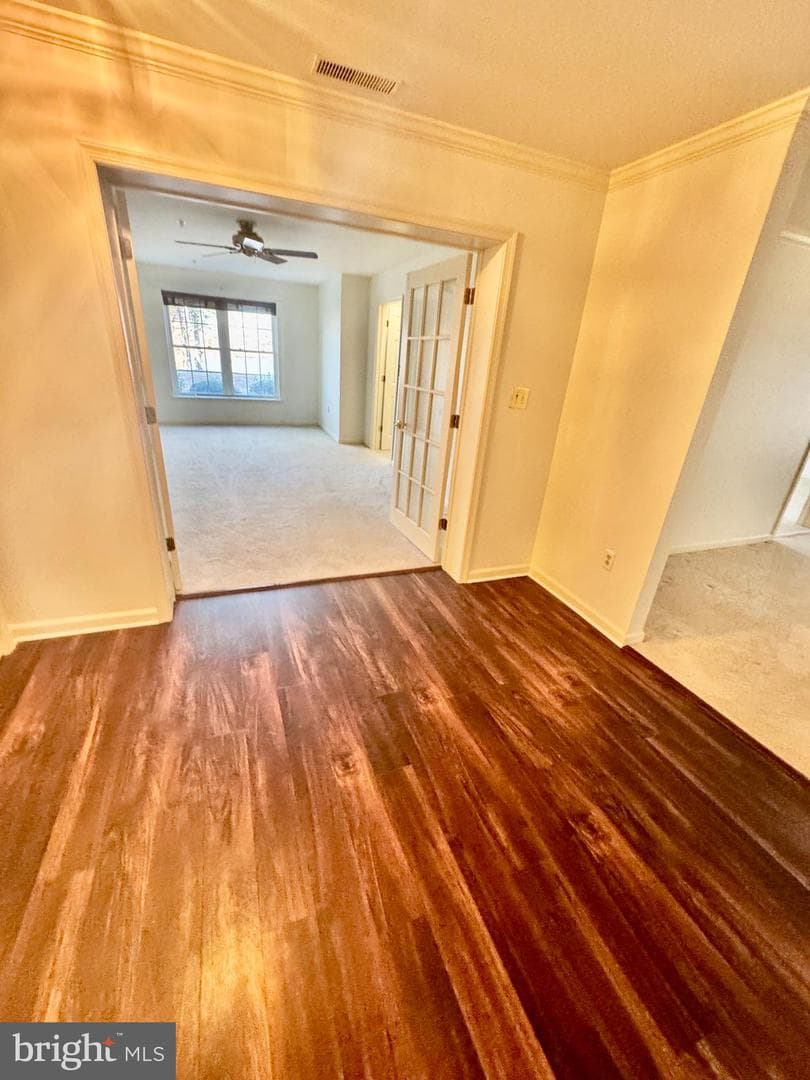 1101 S Schumaker Drive #010 photo 14