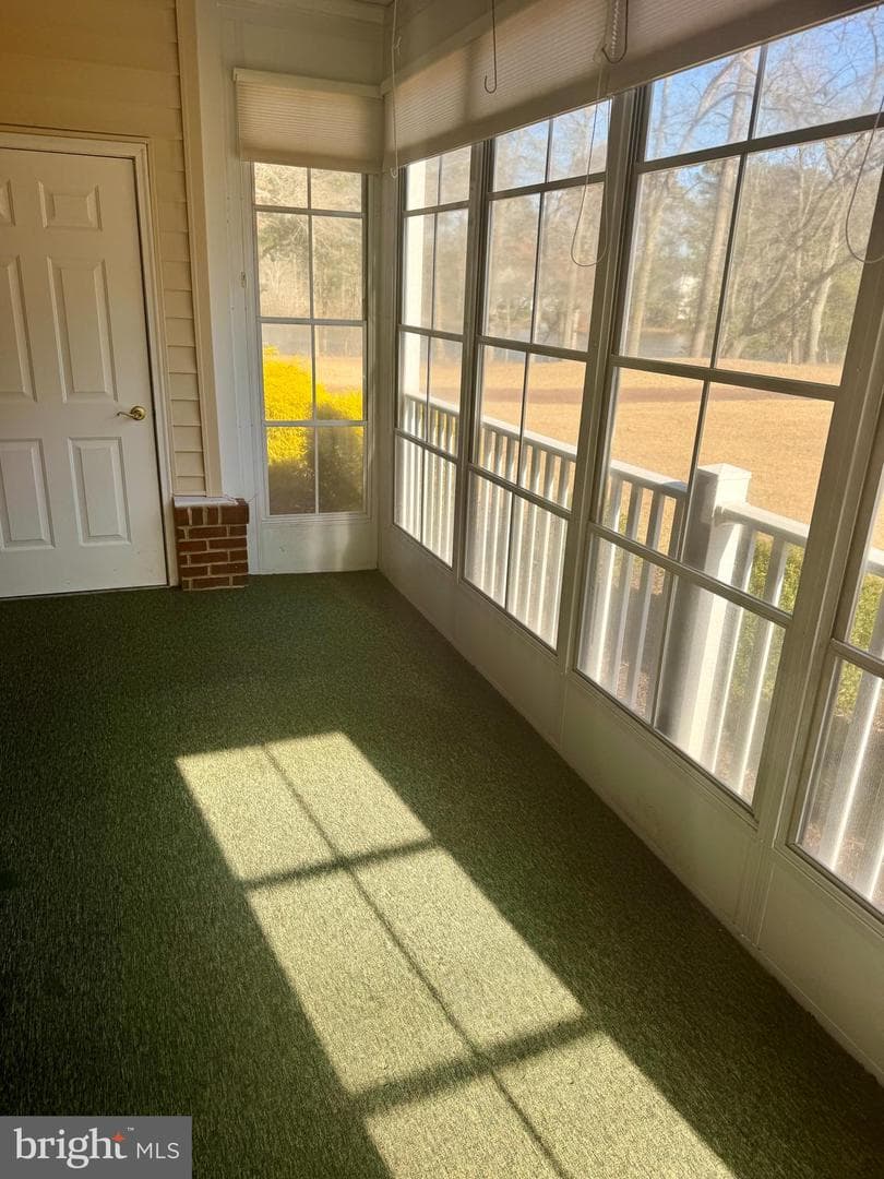 1101 S Schumaker Drive #010, Salisbury