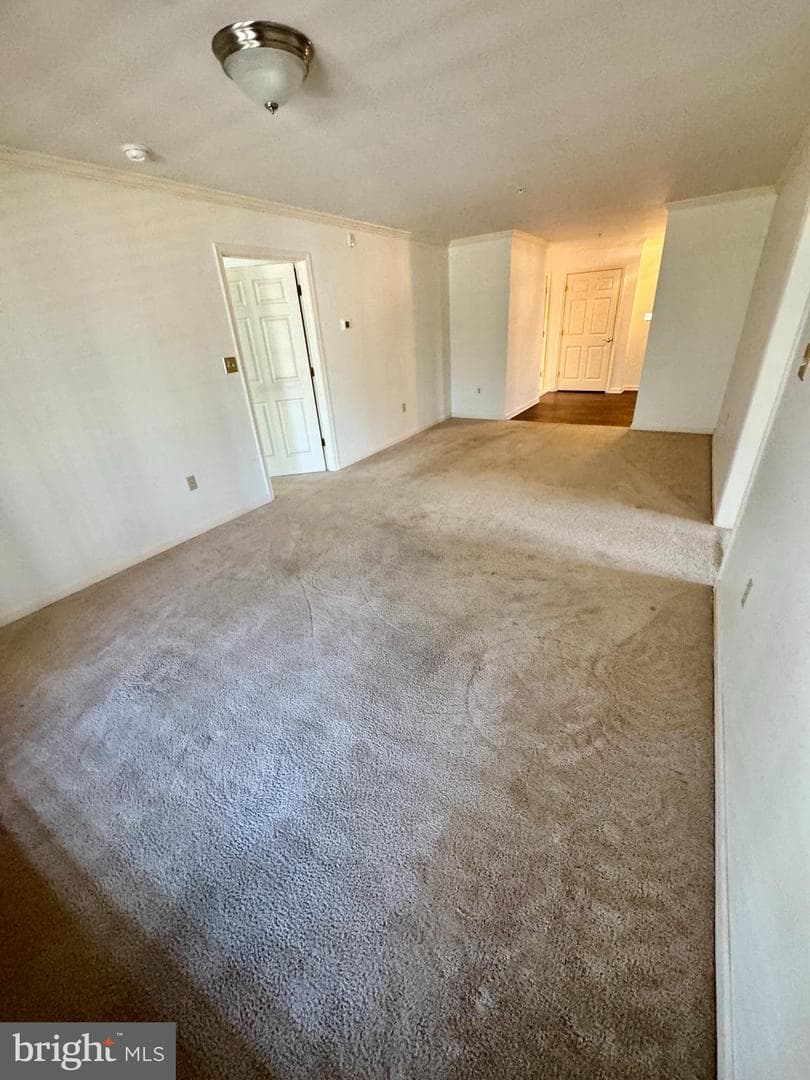 1101 S Schumaker Drive #010 photo 4