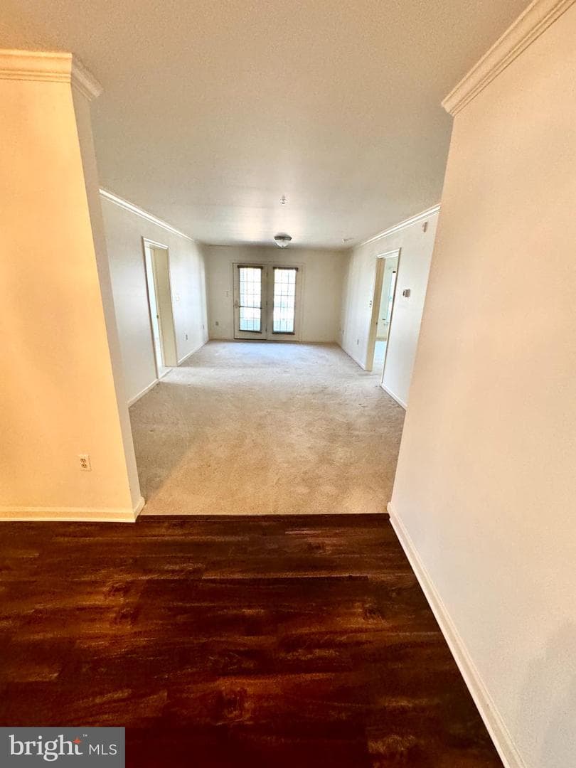 1101 S Schumaker Drive #010 photo 5