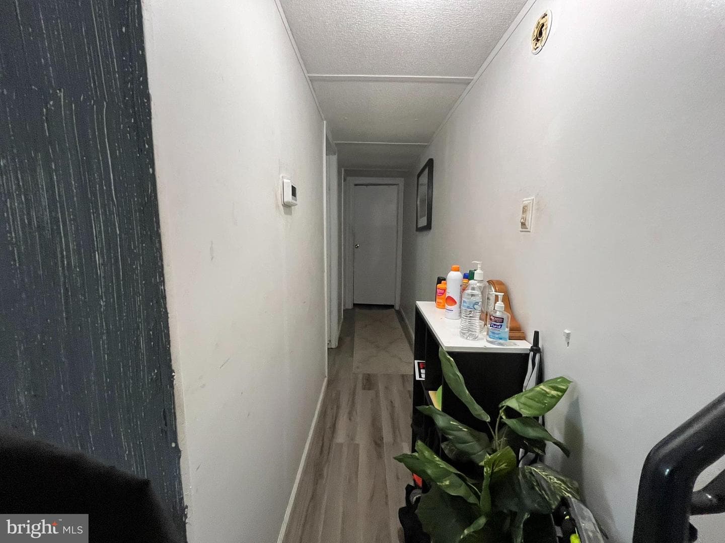5823 Homestead Street photo 13