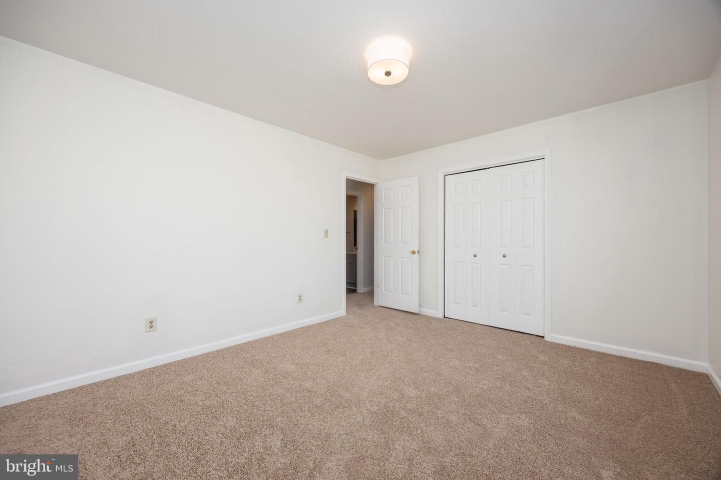 7937 White Lowe photo 12