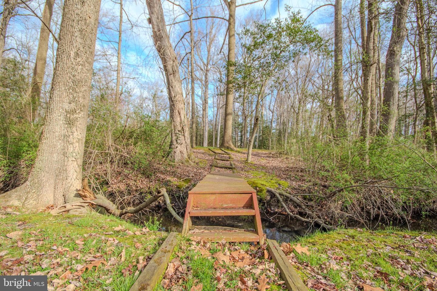 703 Parker Road photo 46