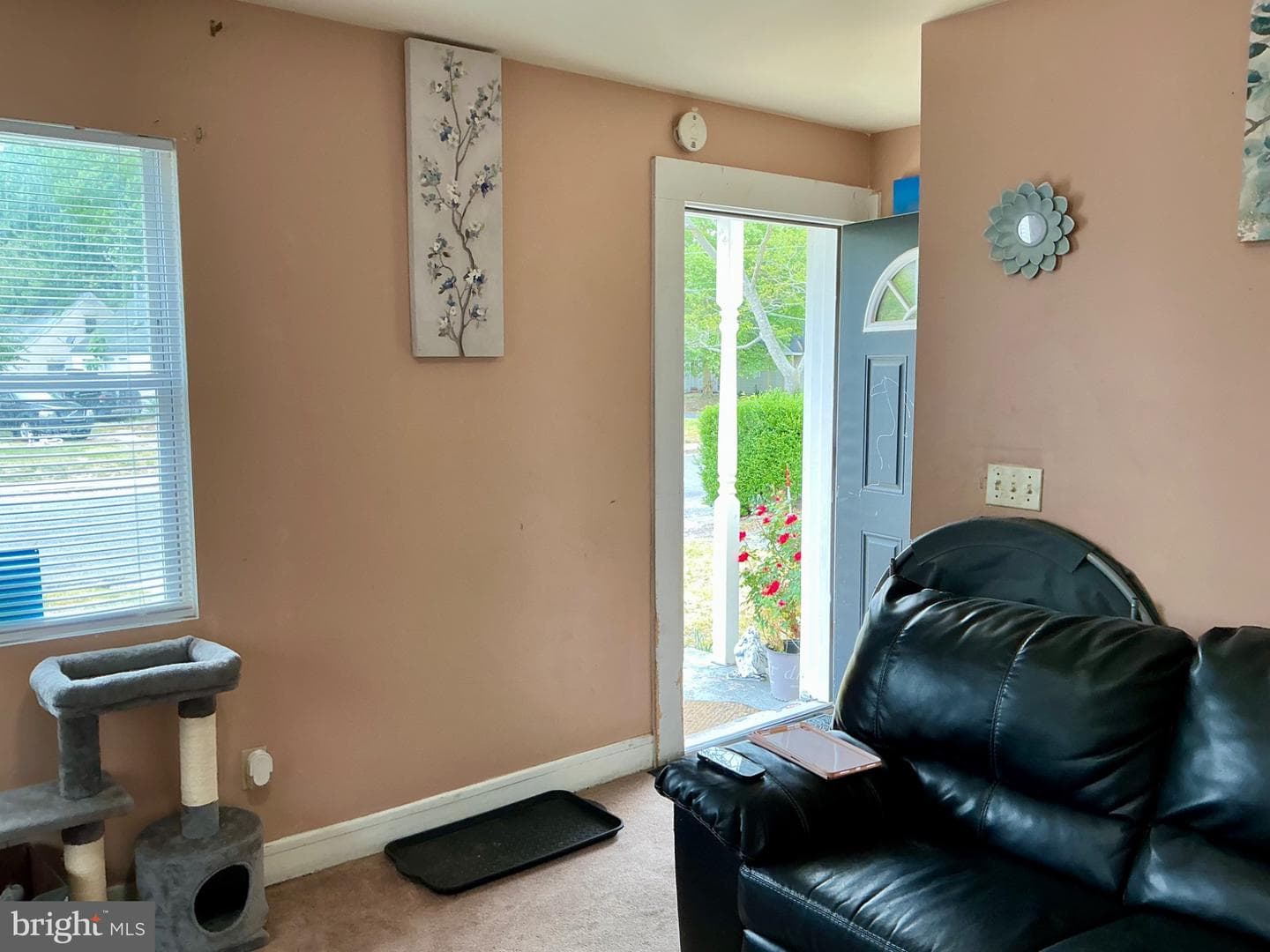 1005 Marion Street photo 5