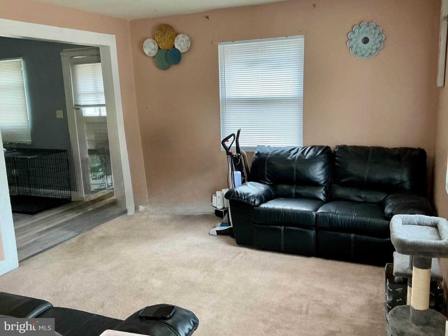 1005 Marion Street photo 6