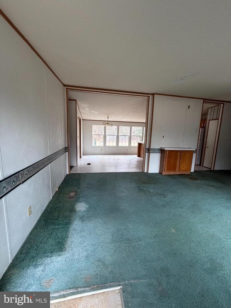 8217 Hurleys Neck Road photo 2