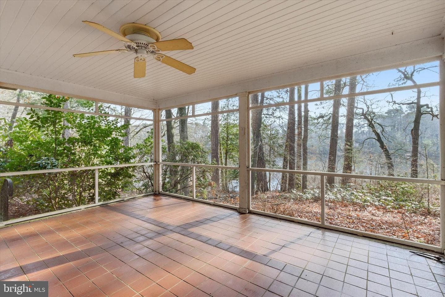 8539 Marlboro Drive photo 23