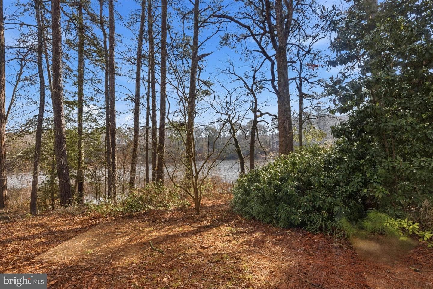 8539 Marlboro Drive photo 26