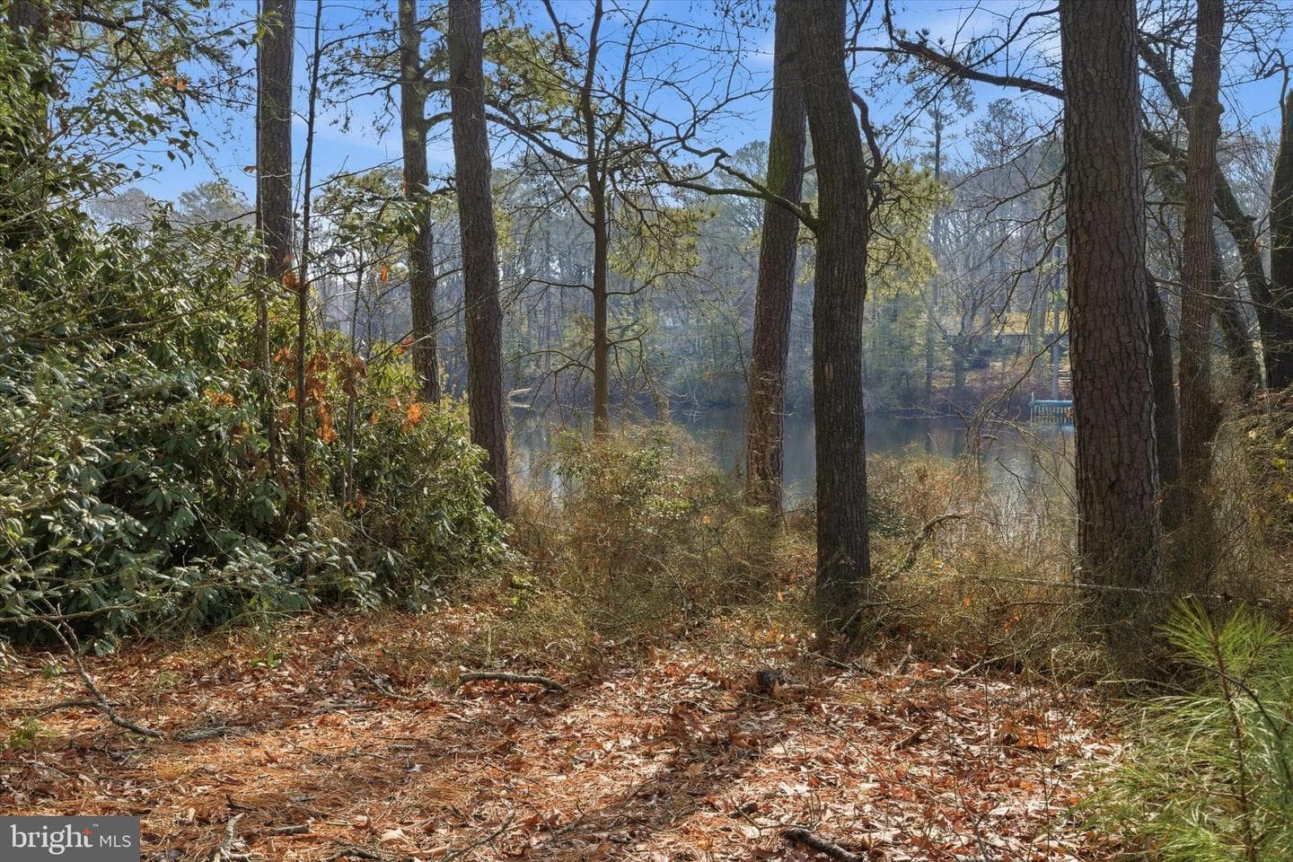 8539 Marlboro Drive photo 28
