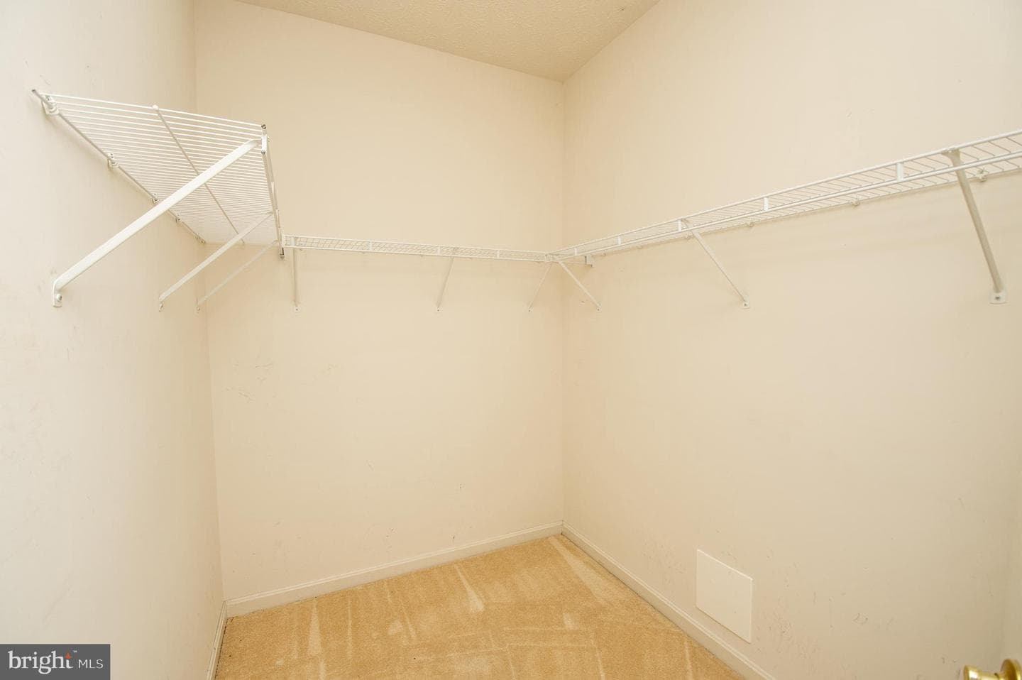 8935 Executive Club Drive photo 11