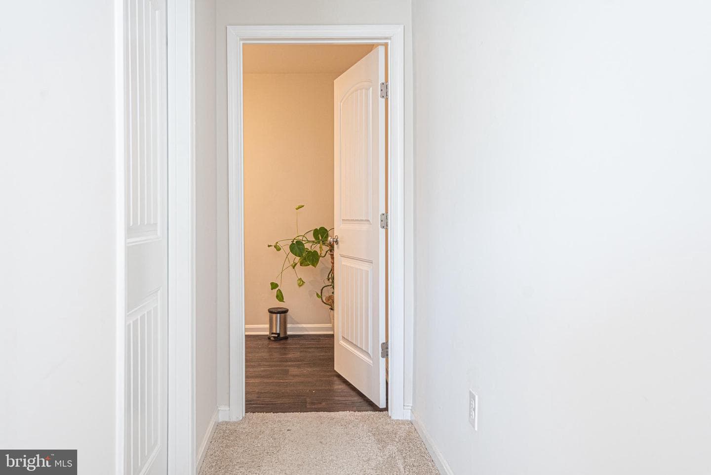 416 Birchwood Drive photo 35